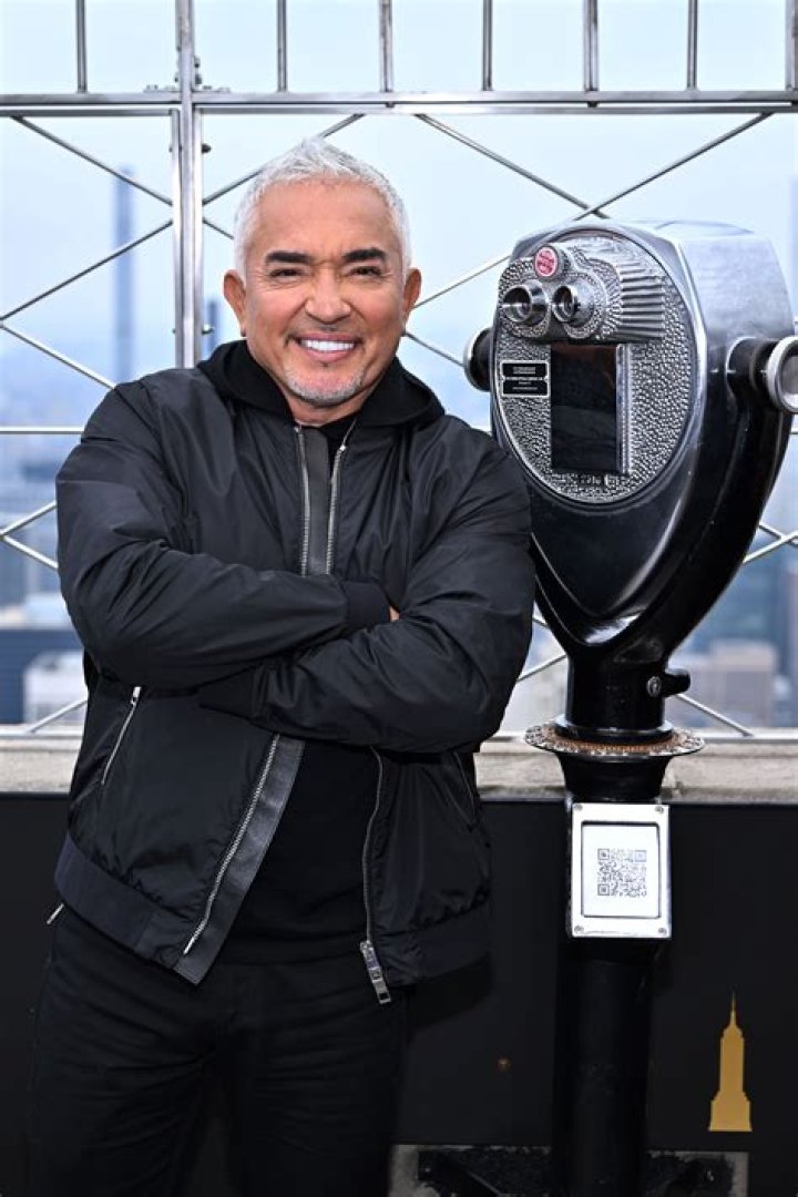 Cesar Millan Highlights
