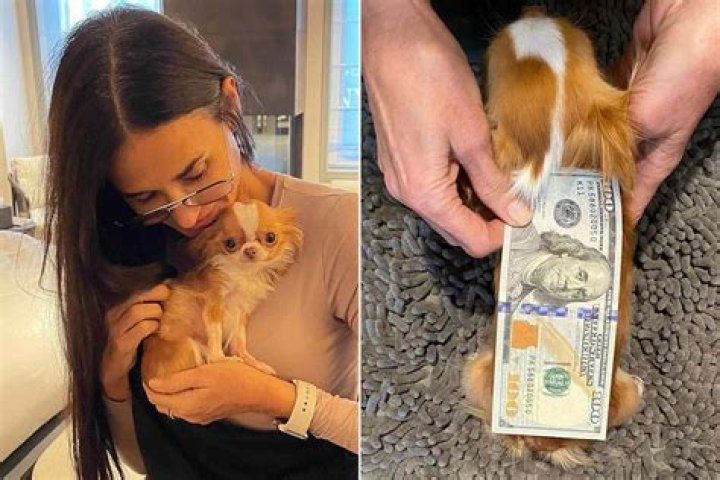 Demi Moore Pets