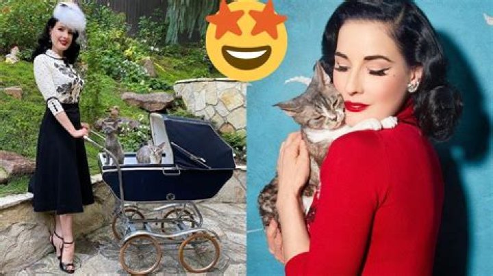 Dita Von Teese Pets