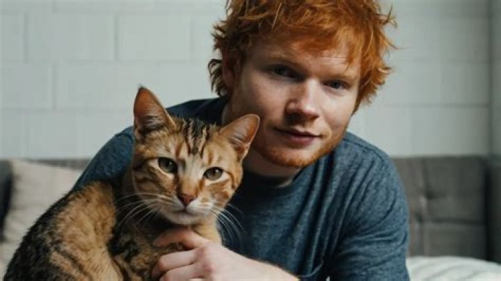 Ed Sheeran Pets