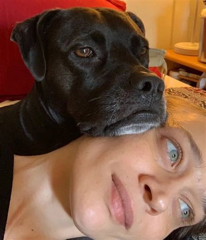 Fiona Apple Pets