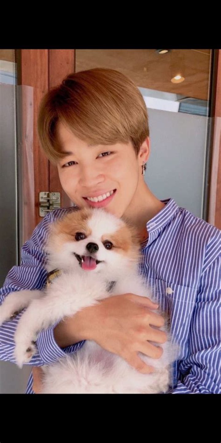 Jimin Pets