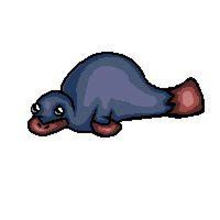 Mudbill