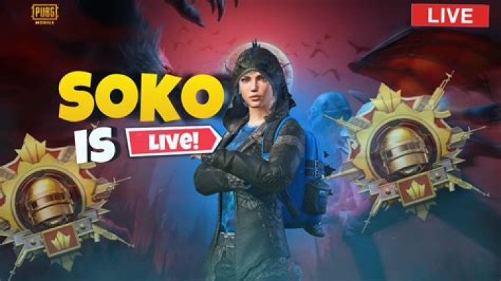 SOKO PUBG